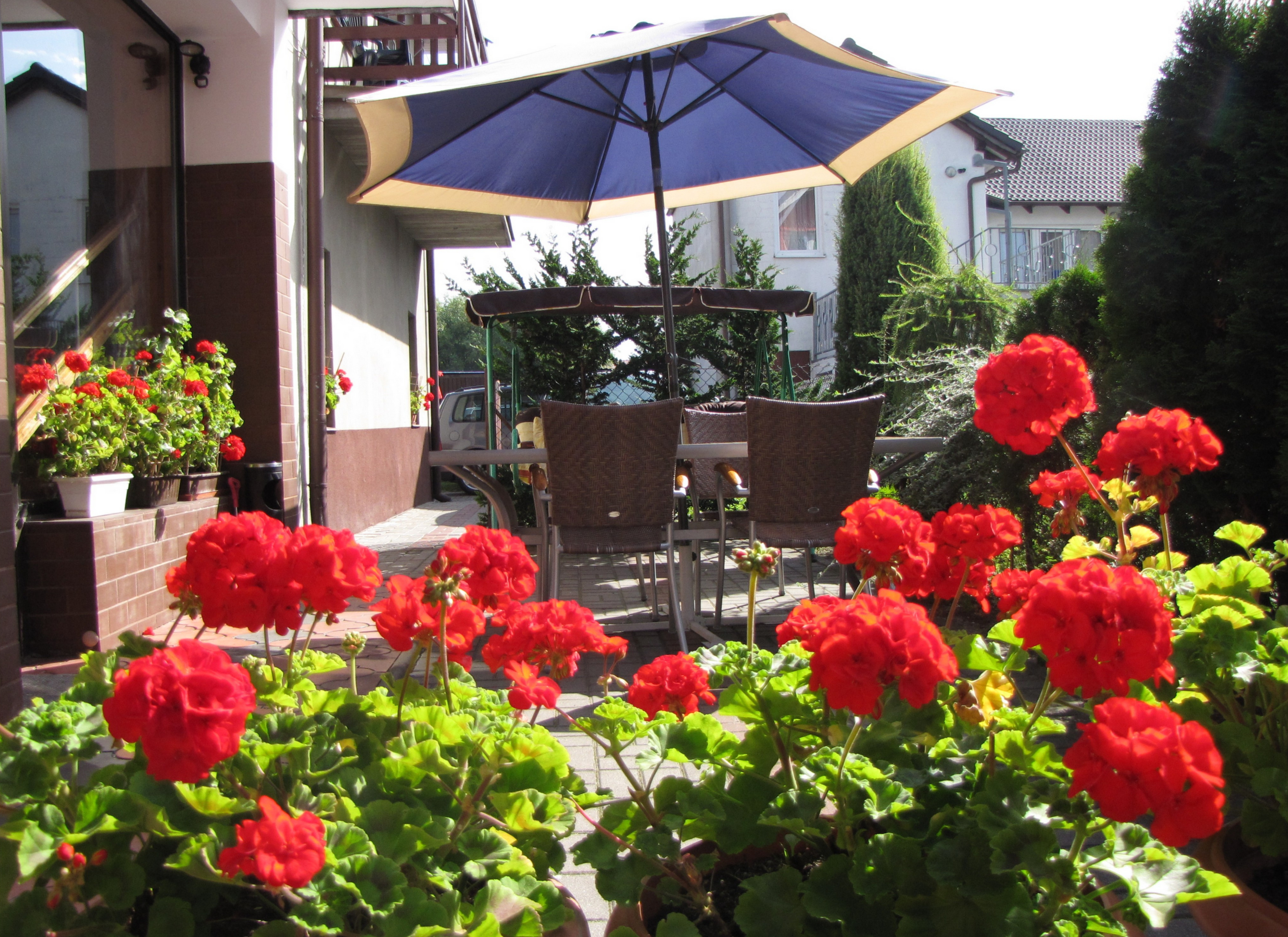 1 zdjecia do skopiowania2